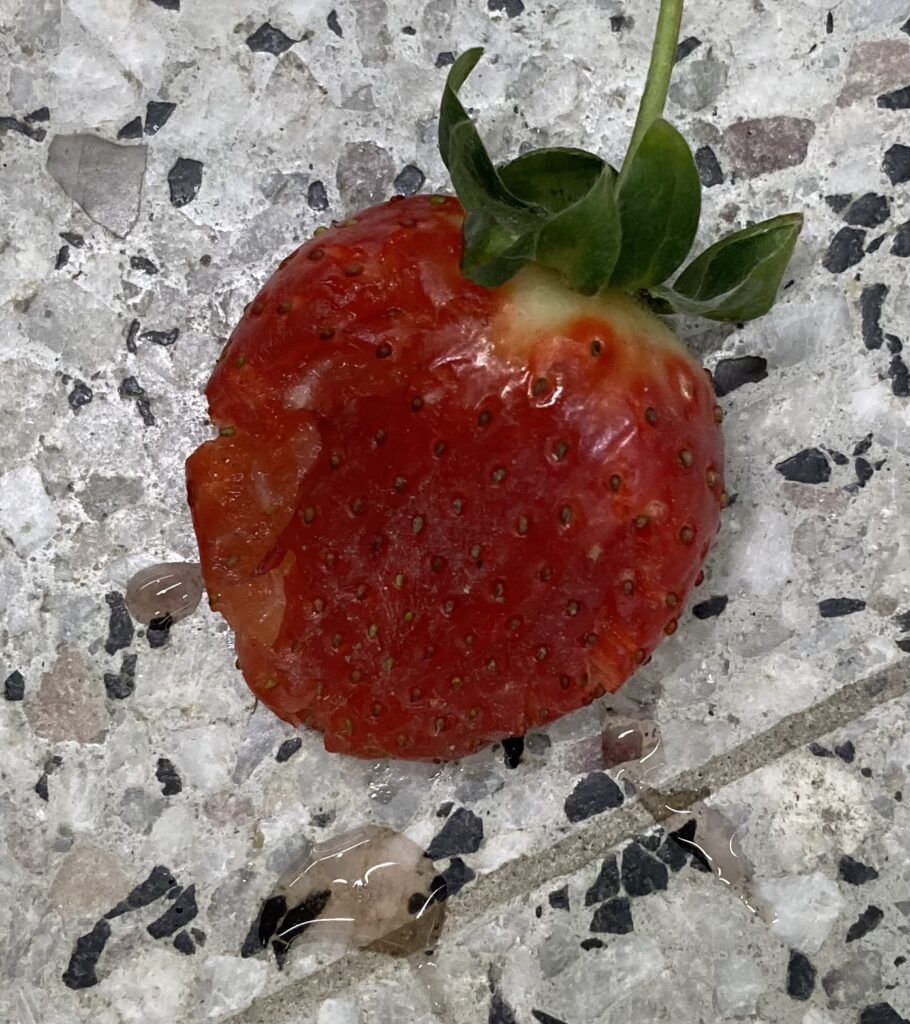 mustamaalata,paha äiti