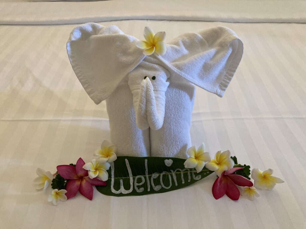 anti-midas,aurinkorasvat,pad thai,bangla,pariskuntamatka