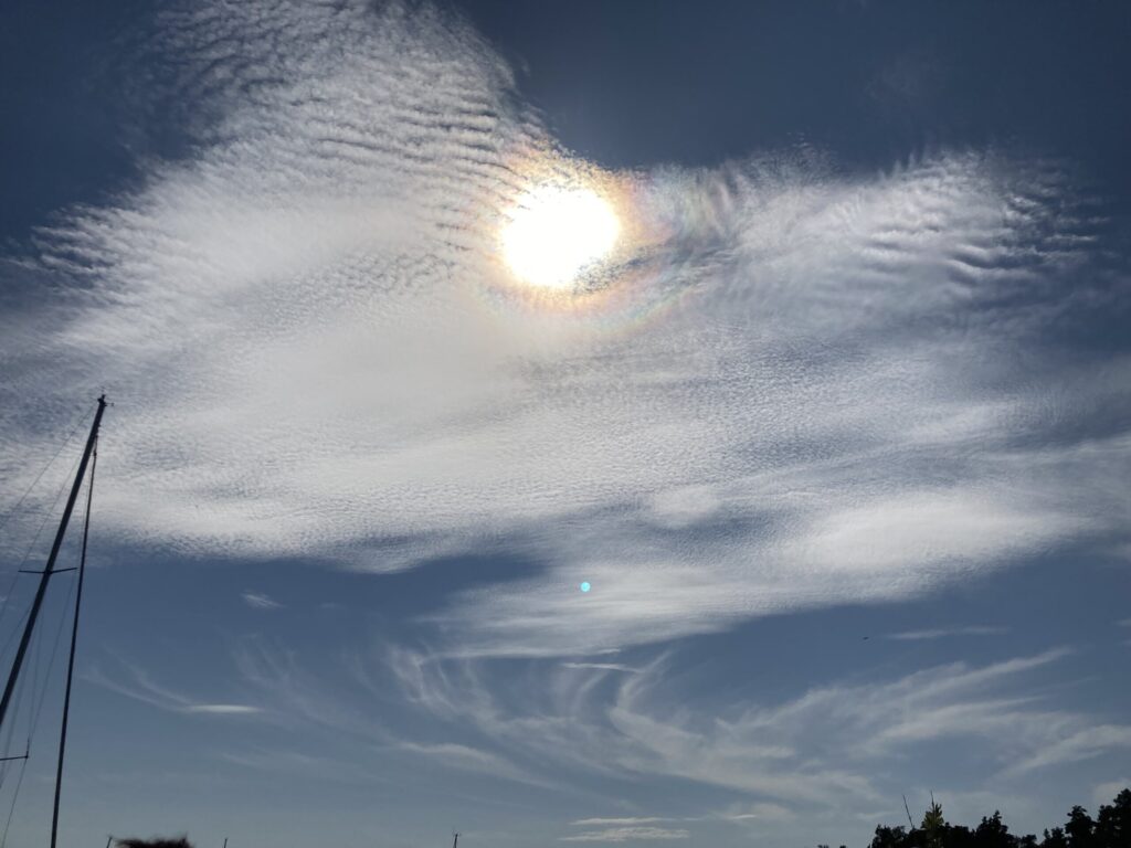 mukavuudenhaluinen,ruoho on vihreämpää,sinkkuvuoteni