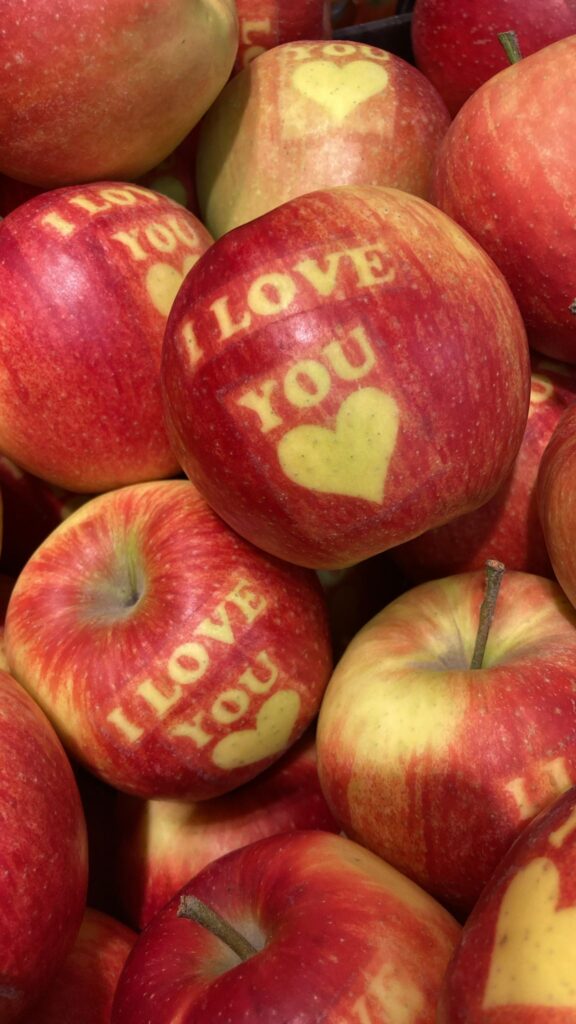 huhtikuu,julma valo,kevätauringossa