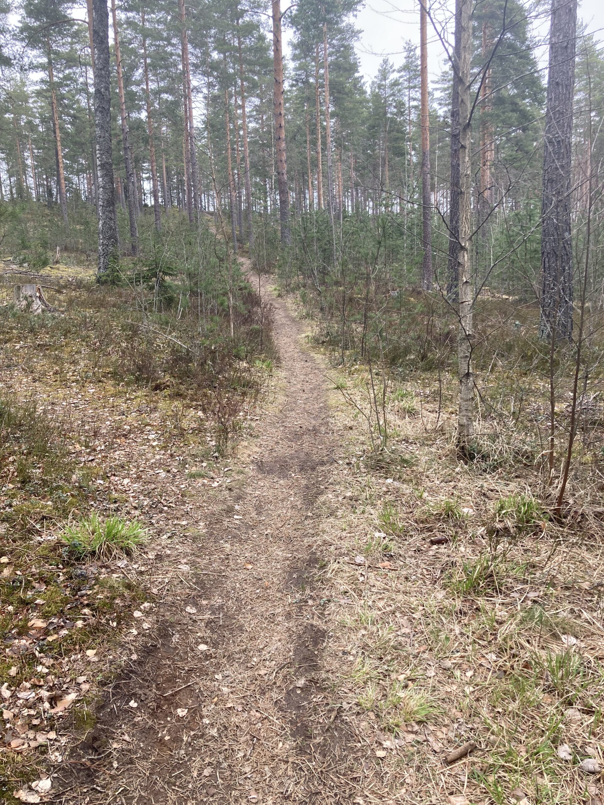 Ylämäki-alamäki -pähkinä